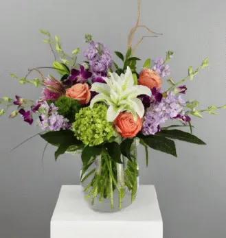 ORCHID ROYALE RADEBAUGH