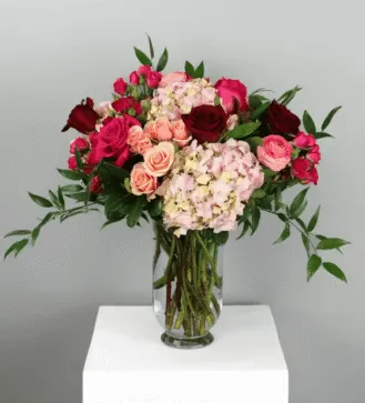 RADEBAUGH MAIN SQUEEZE